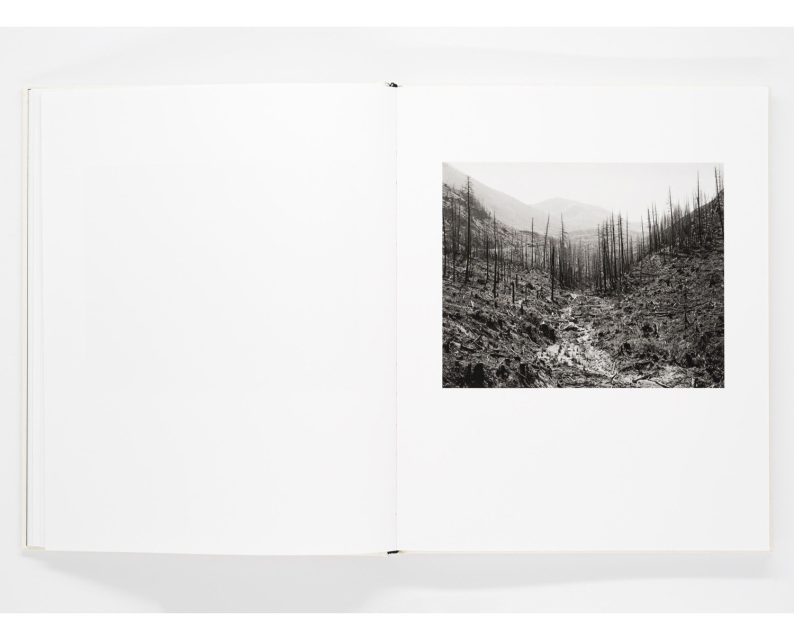 Mimi Plumb 'Landfall' - Image 9
