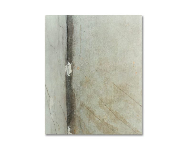 Alec Soth 'Gathered Leaves Annotated' (signed) - Image 34