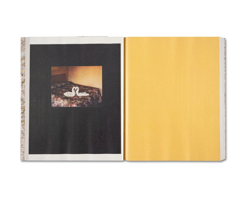 Alec Soth 'Gathered Leaves Annotated' (signed) - Image 11