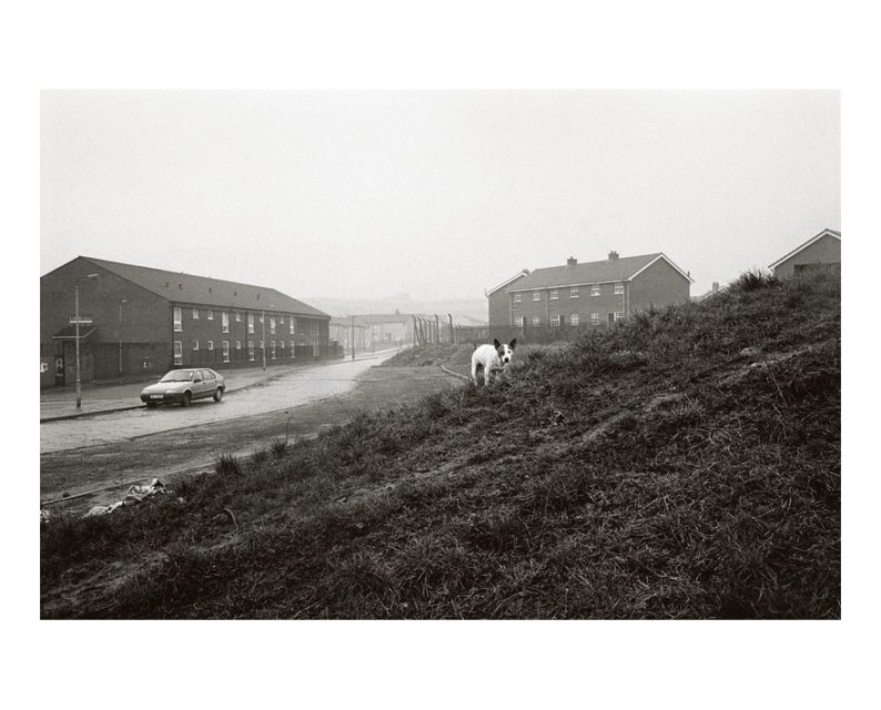 Krass Clement 'Belfast' - Image 4