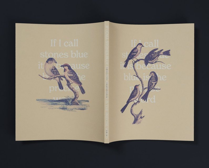 Joselito Verschaeve 'If I call stones blue it is because blue is the precise word' - Image 8