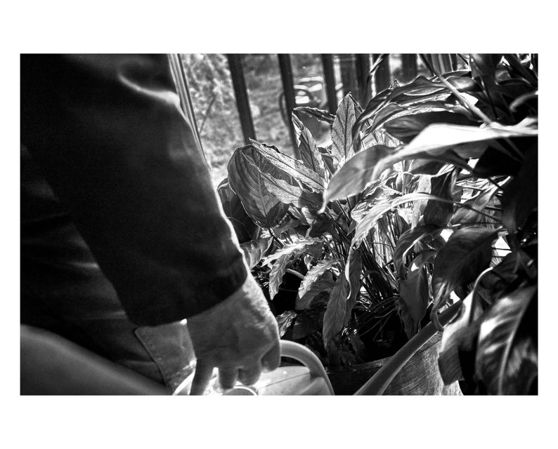 Jakob Eskildsen 'Livets Vilkår' - Image 4