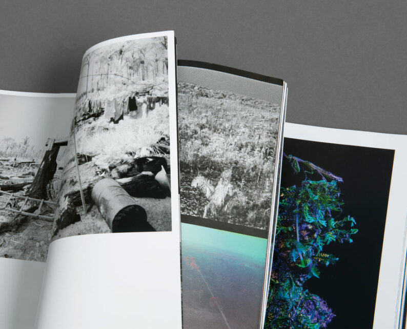 Richard Mosse 'Broken Spectre' - Image 44