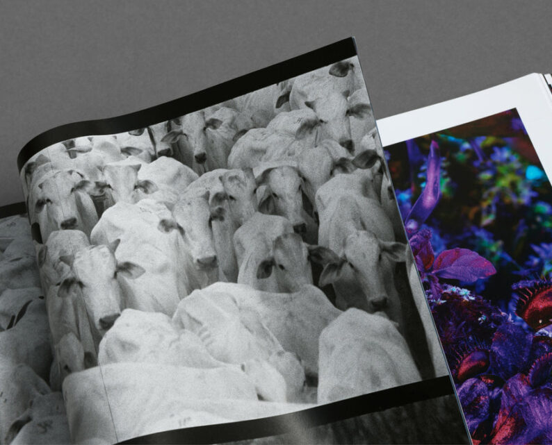 Richard Mosse 'Broken Spectre' - Image 29