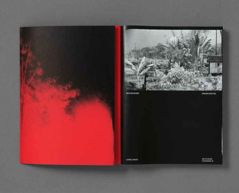 Richard Mosse 'Broken Spectre' - Image 2