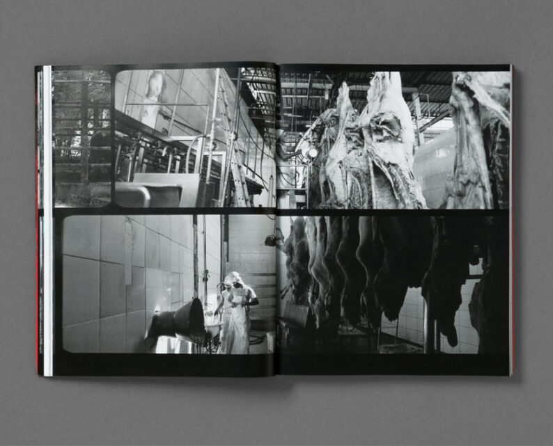Richard Mosse 'Broken Spectre' - Image 48