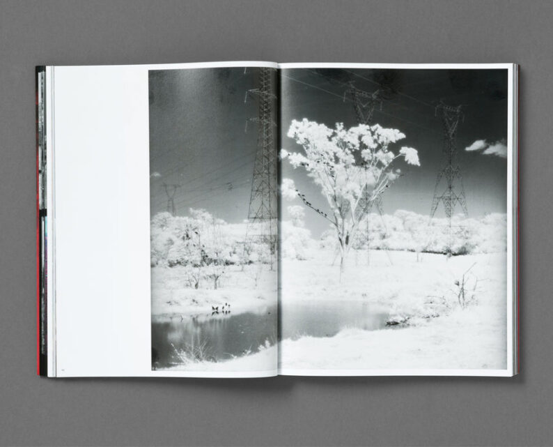 Richard Mosse 'Broken Spectre' - Image 46