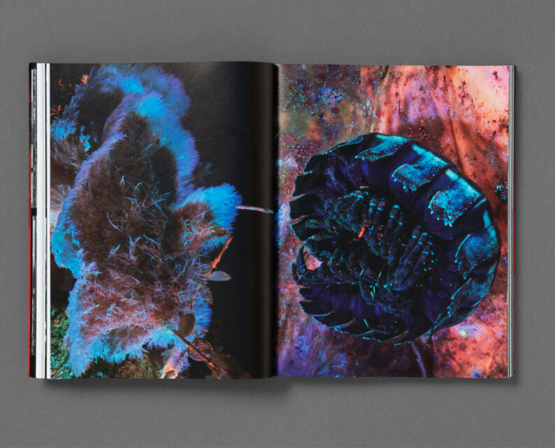Richard Mosse 'Broken Spectre' - Image 43