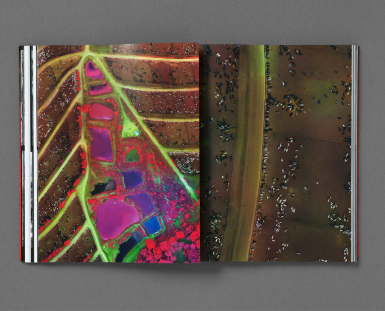 Richard Mosse 'Broken Spectre' - Image 41
