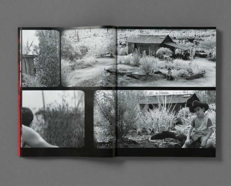 Richard Mosse 'Broken Spectre' - Image 3