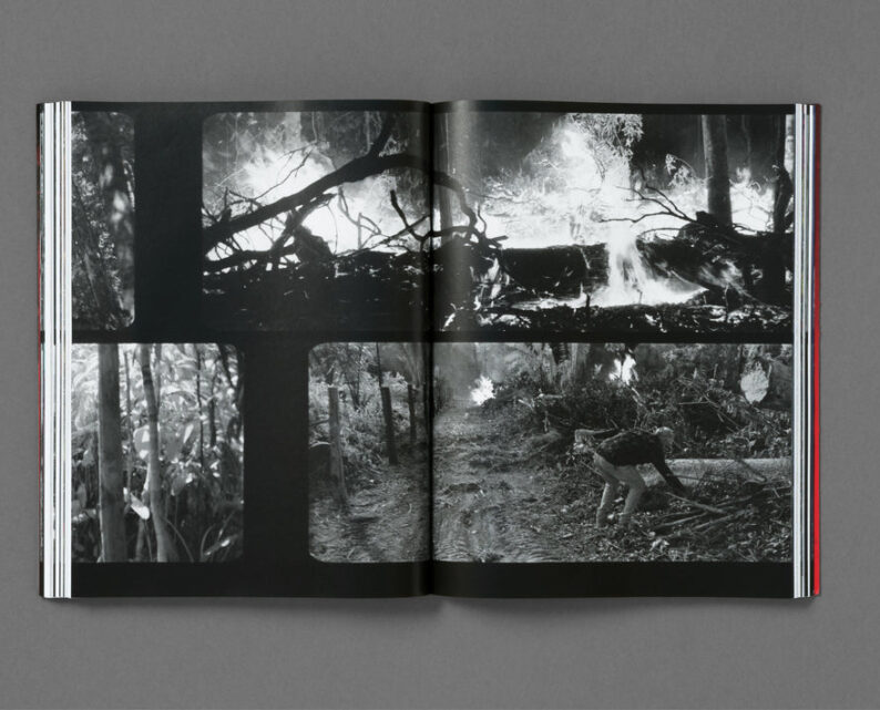 Richard Mosse 'Broken Spectre' - Image 32