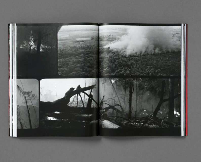 Richard Mosse 'Broken Spectre' - Image 31