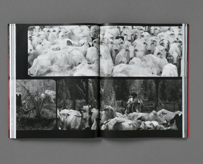 Richard Mosse 'Broken Spectre' - Image 30