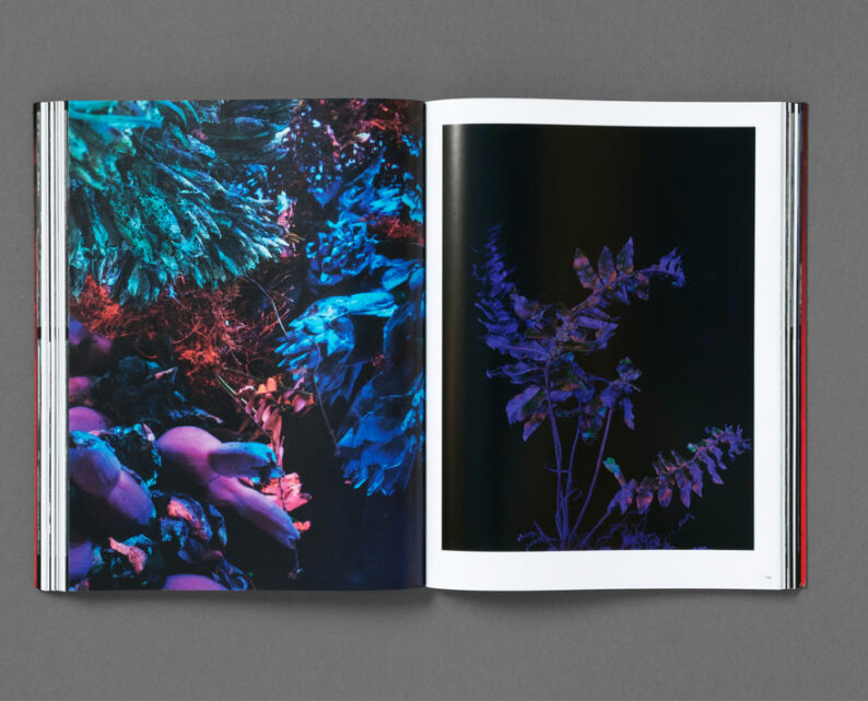Richard Mosse 'Broken Spectre' - Image 28