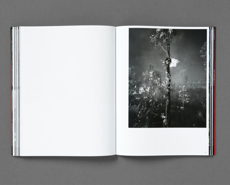 Richard Mosse 'Broken Spectre' - Image 21