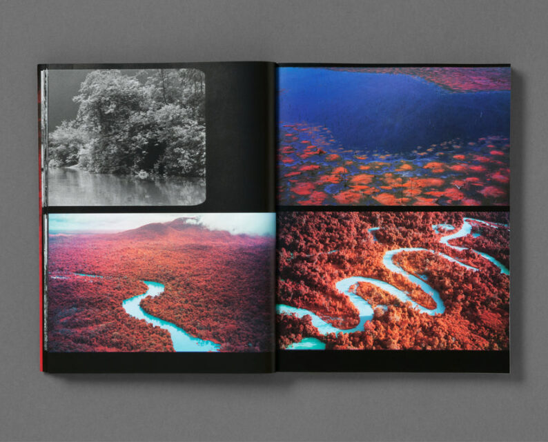 Richard Mosse 'Broken Spectre' - Image 5