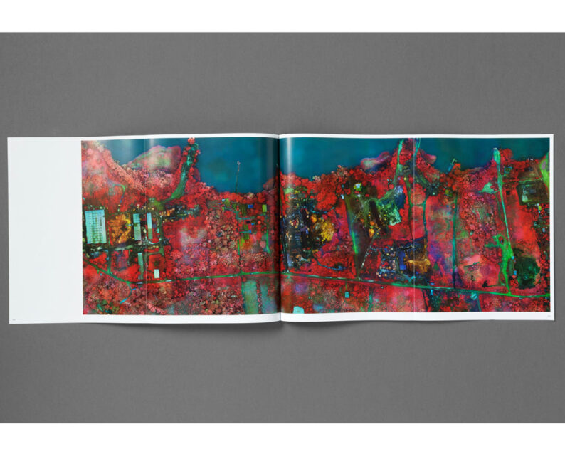 Richard Mosse 'Broken Spectre' - Image 12