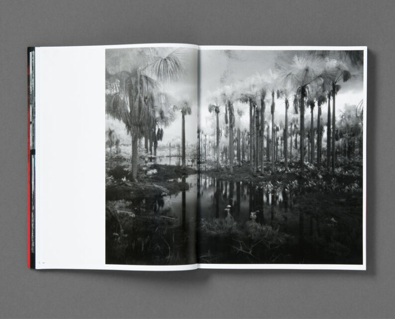 Richard Mosse 'Broken Spectre' - Image 6