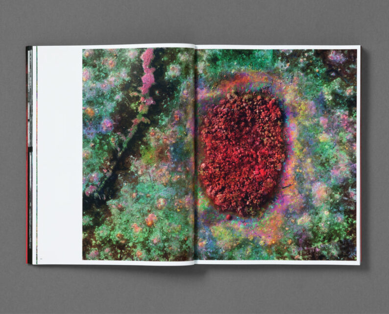 Richard Mosse 'Broken Spectre' - Image 8