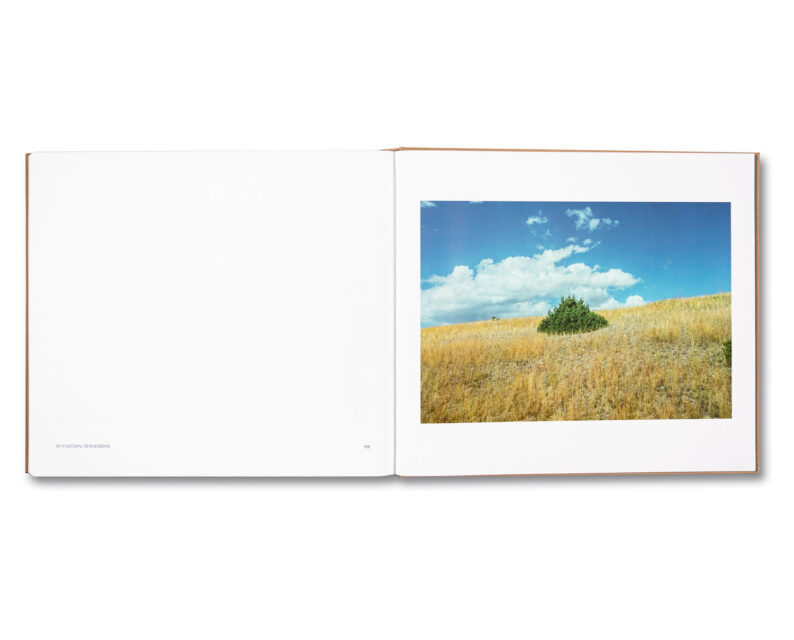 Stephen Shore 'Topographies: Aerial Surveys of the American Landscape' - Image 22