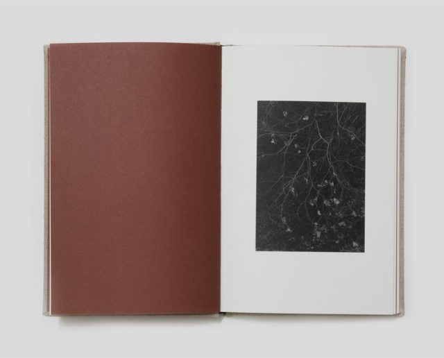 Rare Books / Out of print Archives - Fragment