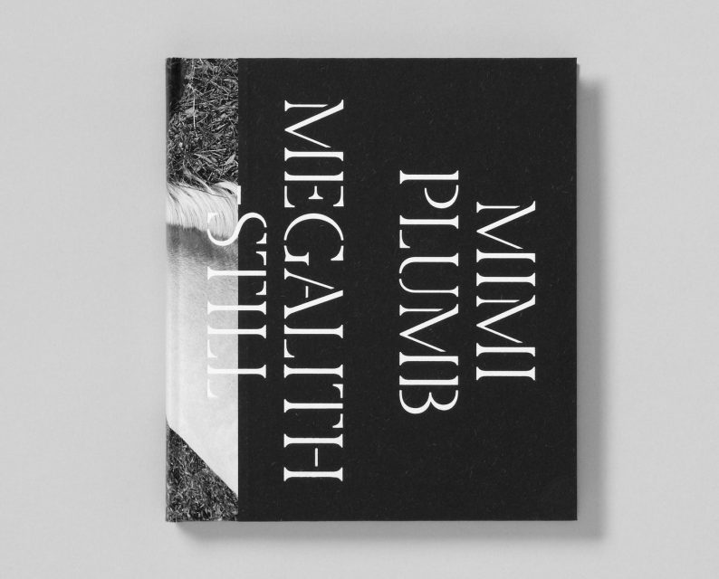 Mimi Plumb 'Megalith-Still' - Image 17