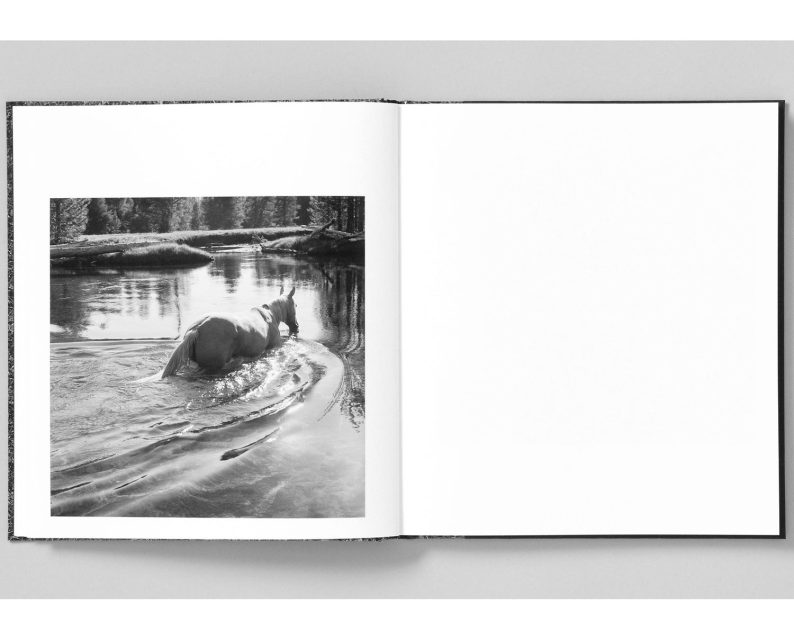 Mimi Plumb 'Megalith-Still' - Image 7