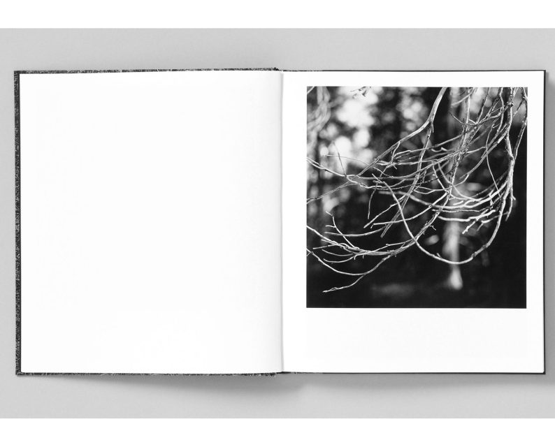 Mimi Plumb 'Megalith-Still' - Image 11