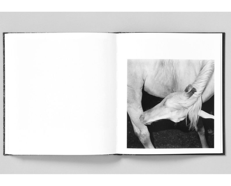 Mimi Plumb 'Megalith-Still' - Image 12
