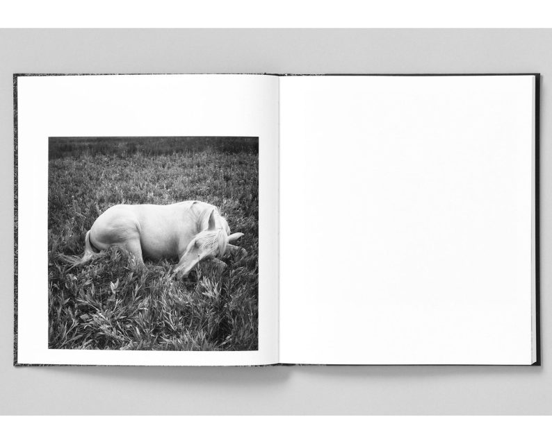 Mimi Plumb 'Megalith-Still' - Image 2