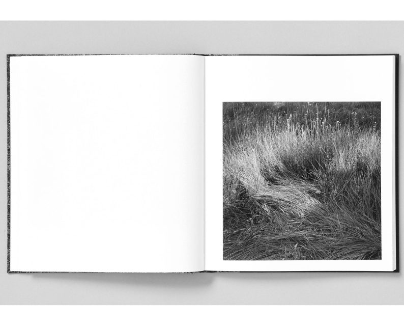 Mimi Plumb 'Megalith-Still' - Image 14
