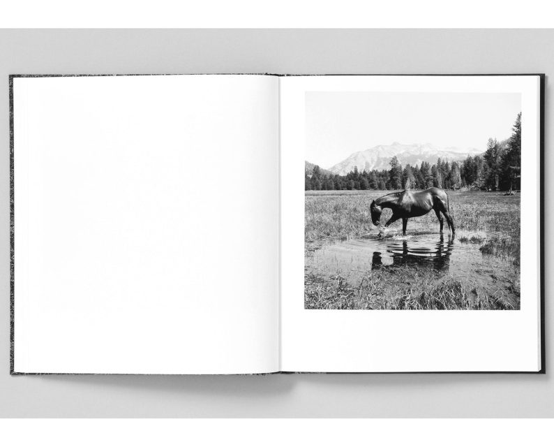 Mimi Plumb 'Megalith-Still' - Image 15