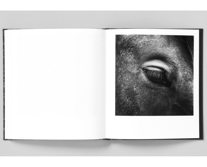 Mimi Plumb 'Megalith-Still' - Image 8