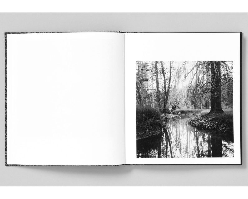 Mimi Plumb 'Megalith-Still' - Image 3