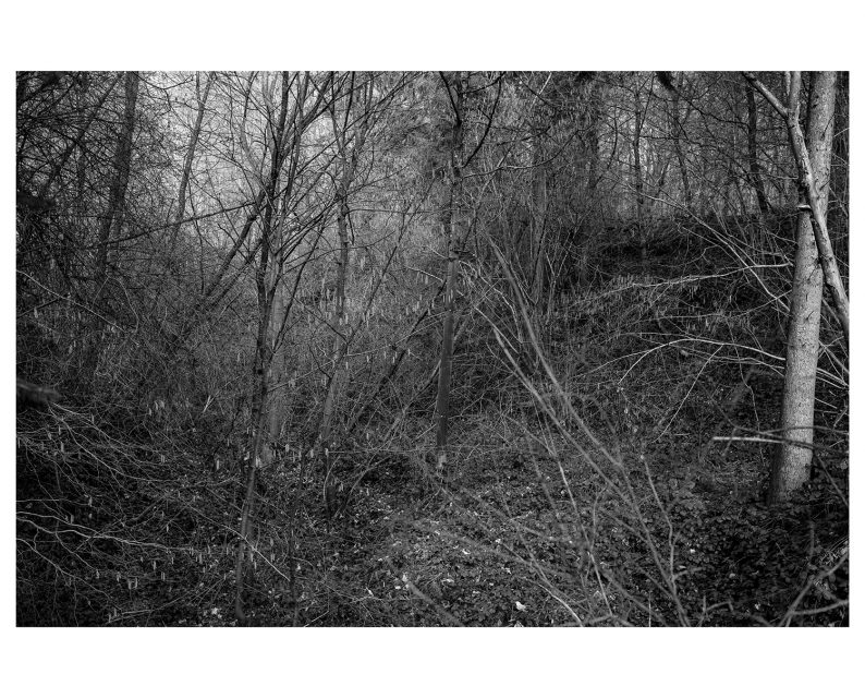 Morten Eriksen 'From This Side' - Image 4