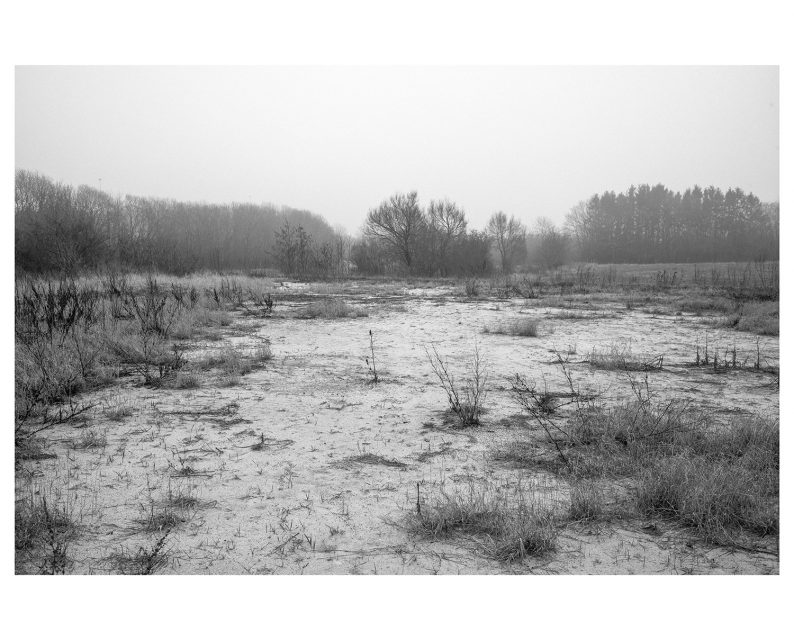 Morten Eriksen 'From This Side' - Image 7