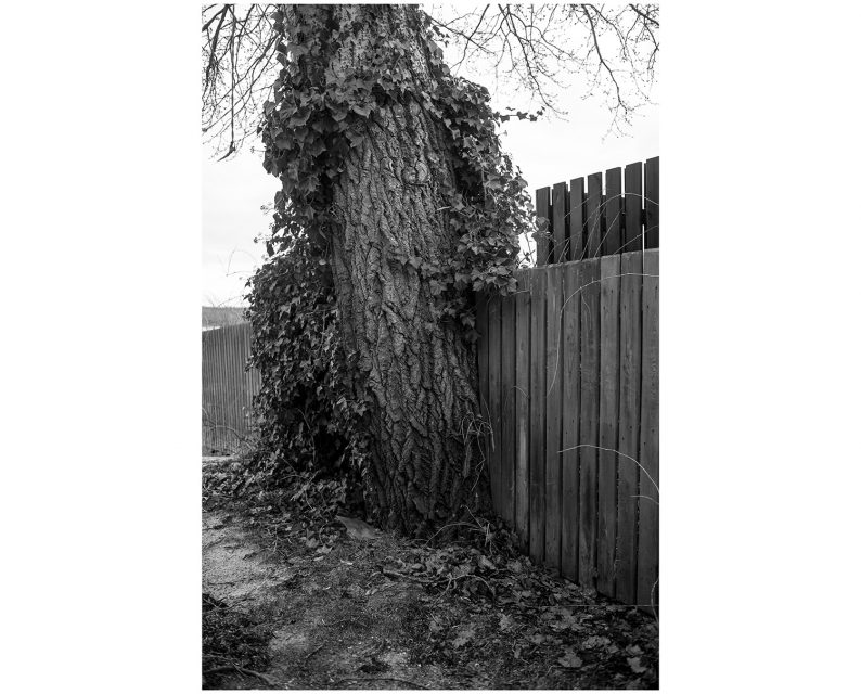 Morten Eriksen 'From This Side' - Image 11
