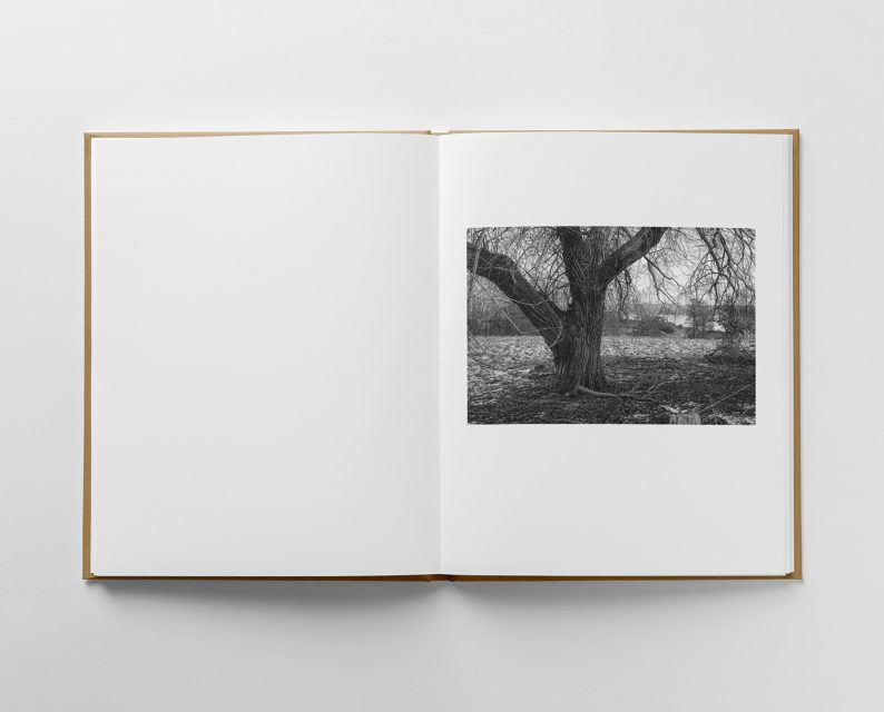 Morten Eriksen 'From This Side' - Image 2