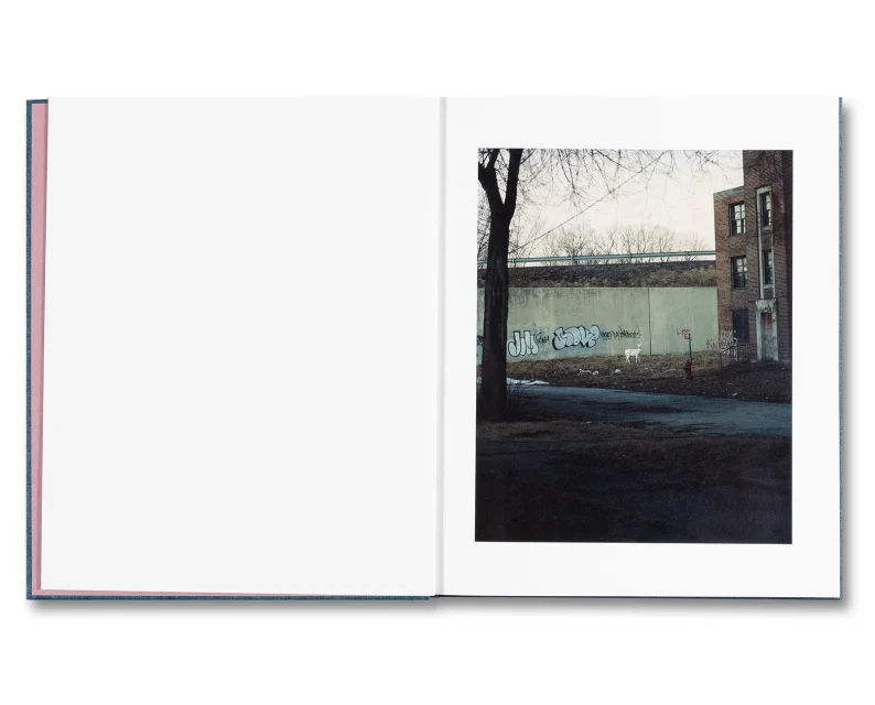 Gregory Halpern 'King, Queen, Knave' (signed - 2nd printing) - Image 4