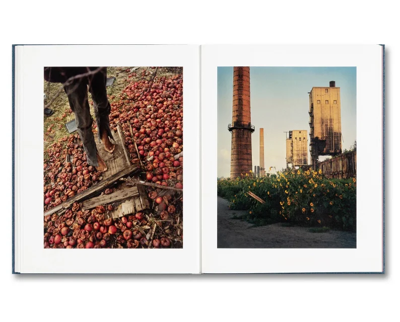 Gregory Halpern 'King, Queen, Knave' (signed - 2nd printing) - Image 16