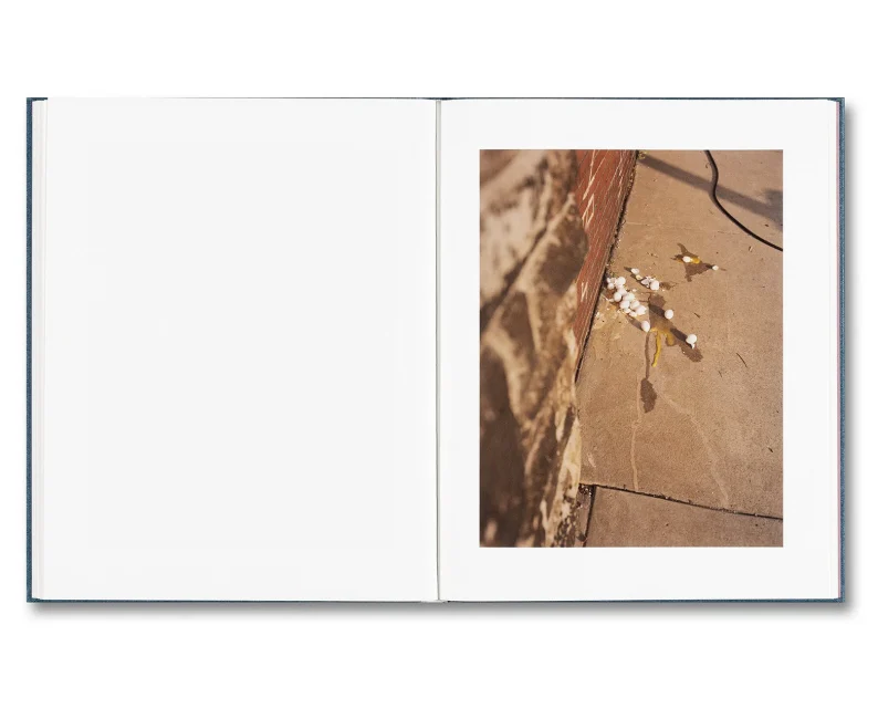 Gregory Halpern 'King, Queen, Knave' (signed - 2nd printing) - Image 14