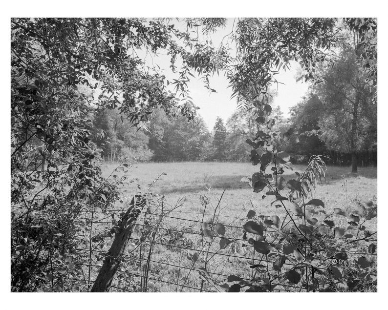 Morten Eriksen 'Walks' (numbered and signed) - Image 7