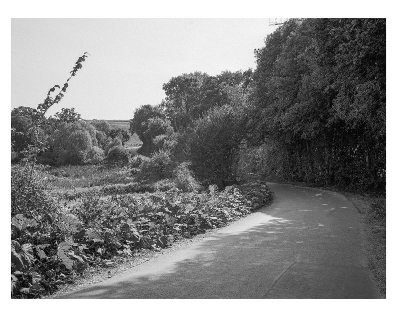 Morten Eriksen 'Walks' (numbered and signed) - Image 9