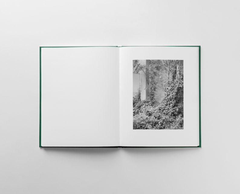 Morten Eriksen 'Walks' (numbered and signed) - Image 6