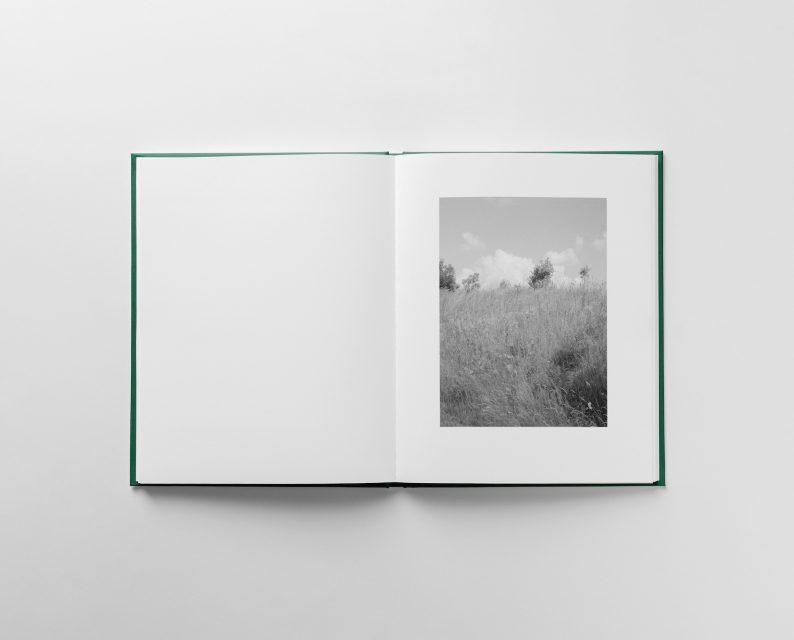 Morten Eriksen 'Walks' (numbered and signed) - Image 8